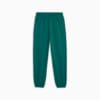 Image Puma PUMA Team Women's Sweatpants #7