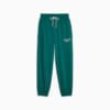Зображення Puma Штани PUMA Team Women’s Sweatpants #6: Malachite