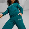 Image Puma PUMA Team Women's Sweatpants #4