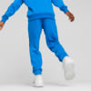 Зображення Puma Дитячі штани Basketball Swish Youth Sweatpants #3: Racing Blue