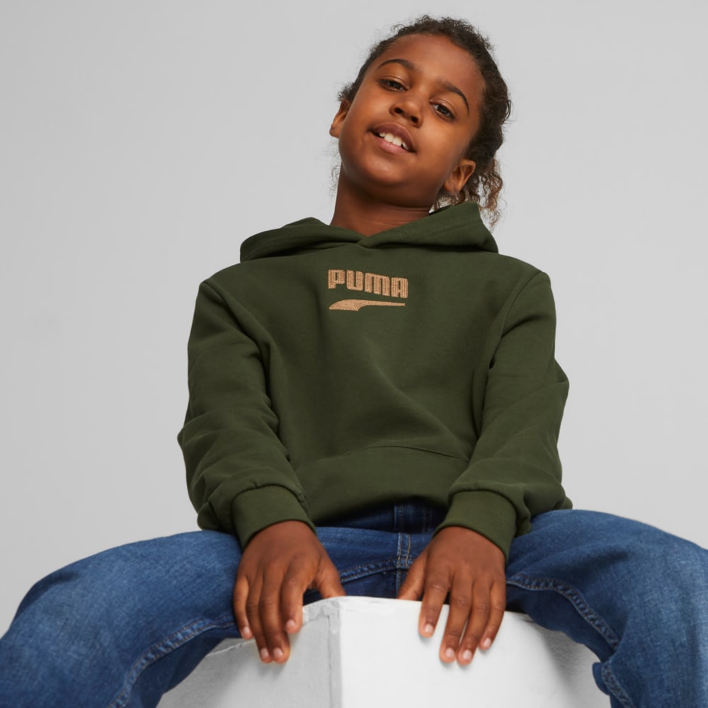 Изображение Puma Детское худи Downtown Youth Logo Hoodie #1: Myrtle