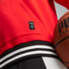 Image Puma Franchise Core Men's Basketball Hoodie #3