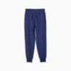 Image Puma Blueprint Formstrip Men's Basketball Pants #7