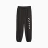 Image Puma PUMA x RIPNDIP Men's Sweatpants #6