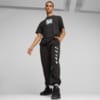 Görüntü Puma PUMA x RIPNDIP Erkek Eşofman Altı #2