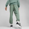 Зображення Puma Штани PUMA x RIPNDIP Men’s Sweatpants #5: Eucalyptus