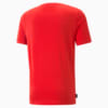 Image PUMA Camiseta Iconic Cat HOUSE OF GRAPHICS Masculina #7