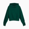 Görüntü Puma PUMA X TROPHY HUNTING Basketbol Kapüşonlu Sweatshirt #6