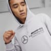Изображение Puma Худи Mercedes-AMG Petronas Motorsport Men's ESS Hoodie #3: Team Silver
