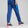 Imagen PUMA Pantalones deportivos BMW M Motorsport para hombre #2