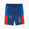 Imagen PUMA Shorts BMW M Motorsport para niños #5