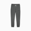 Изображение Puma Штаны CLASSICS+ Men's Sweatpants #6: Mineral Gray