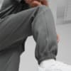 Изображение Puma Штаны CLASSICS+ Men's Sweatpants #4: Mineral Gray