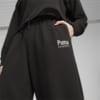 Зображення Puma Штани PUMA TEAM Women's Relaxed Sweatpants #3: Puma Black
