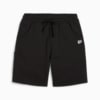 Image PUMA Shorts DOWNTOWN Masculino #6