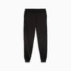 Изображение Puma Брюки спортивные PUMATECH Men's Sweatpants #6: Puma Black