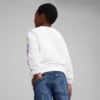 Изображение Puma Детский свитшот PUMA x TROLLS Kids' Sweatshirt #2: Puma White