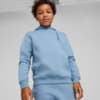Изображение Puma Детское худи PUMA x PLAYSTATION Youth Hoodie #1: Zen Blue