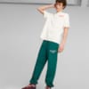 Imagen PUMA Polera para hombre PUMA Team #3
