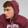 Imagen PUMA Polerón con capucha para hombre PUMA Team #3