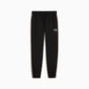 Image PUMA Calça Track PUMA TEAM Masculina #6