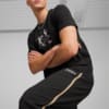 Image PUMA Calça Track PUMA TEAM Masculina #3