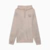 Изображение Puma Худи DOWNTOWN RE:PLACE Hoodie #3: Putty