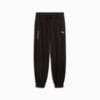 Зображення Puma Штани BMW M Motorsport ESS+ Pants Women #6: Puma Black