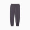 Изображение Puma Брюки BMW M Motorsport ESS+ Pants Women #5: Galactic Gray