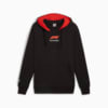 Imagen PUMA Polerón con capucha F1® Graphic para hombre #6