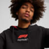 Imagen PUMA Polerón con capucha F1® Graphic para hombre #2