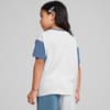 Imagen PUMA Polera CLASSICS PUMA FC para niños #4