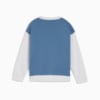 Imagen PUMA Polerón CLASSICS PUMA FC para niños #6