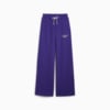 Зображення Puma Штани CLASSICS+ Relaxed Sweatpants Women #6: Lapis Lazuli