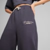 Изображение Puma Брюки CLASSICS+ Relaxed Sweatpants Women #2: Galactic Gray