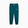 Изображение Puma Брюки CLASSICS+ Relaxed Sweatpants Men #6: Cold Green