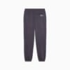 Изображение Puma Брюки спортивные CLUB DE COURSE Fleece Sweatpants Unisex #7: Galactic Gray