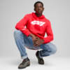 Imagen PUMA Polerón con capucha F1® ESS Logo Fleece para hombre #3