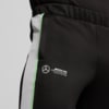 Изображение Puma Брюки Mercedes-AMG Petronas F1® MT7+ Track Pants Men #2: Puma Black