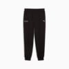 Imagen PUMA Pantalones Mercedes-AMG Petronas F1® ESS para hombre #4