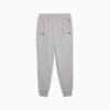 Зображення Puma Штани Mercedes-AMG Petronas F1® ESS Pants Men #4: Team Silver