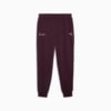 Изображение Puma Брюки Mercedes-AMG Petronas F1® ESS Pants Men #1: Midnight Plum