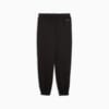 Изображение Puma Брюки Mercedes-AMG Motorsport Statement Pants Men #7: Puma Black