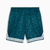 Изображение Puma Шорты PUMA X PALM TREE CREW All-Over Print Mesh Shorts Men #7: Cold Green-AOP