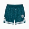 Изображение Puma Шорты PUMA X PALM TREE CREW All-Over Print Mesh Shorts Men #6: Cold Green-AOP