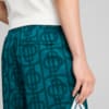 Изображение Puma Шорты PUMA X PALM TREE CREW All-Over Print Mesh Shorts Men #2: Cold Green-AOP