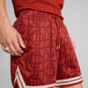 Зображення Puma Шорти PUMA X PALM TREE CREW All-Over Print Mesh Shorts Men #2: Mars Red-AOP