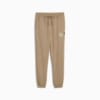 Зображення Puma Штани PUMA x PALM TREE CREW Sweatpants Men #6: Oak Branch