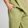 Изображение Puma Брюки BMW M Motorsport ESS+ Fleece Pants Men #2: Calming Green