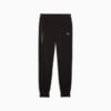 Зображення Puma Штани BMW M Motorsport ESS+ Pants Men #6: Puma Black